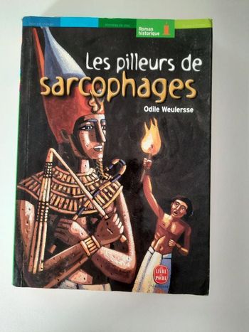 Les pilleurs de sarcophages livre historique jeunesse
