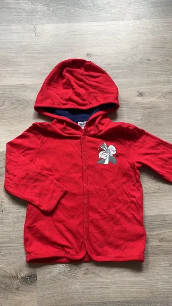 Gilet avec capuche