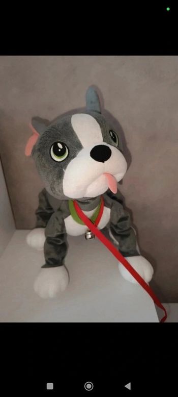 🌟Chien Toufou TBE 🌟