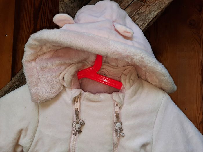 superbe Nid'ange de belle qualité Doudou et compagnie - photo numéro 2