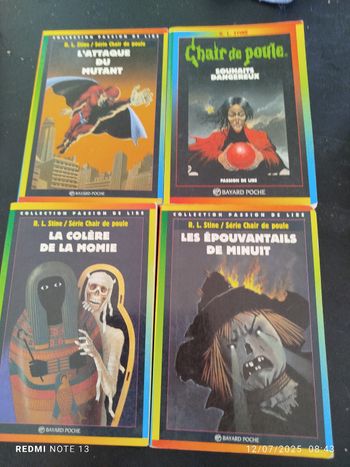 Lot 4 livres chair de poule