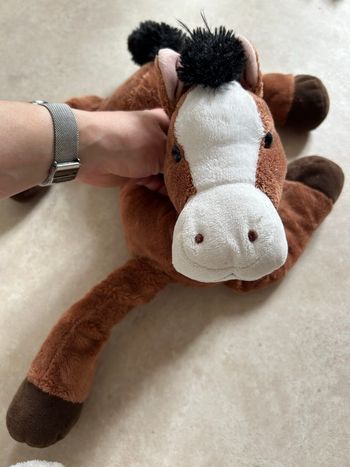 Cheval