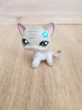 Little Pet Shop chat européen