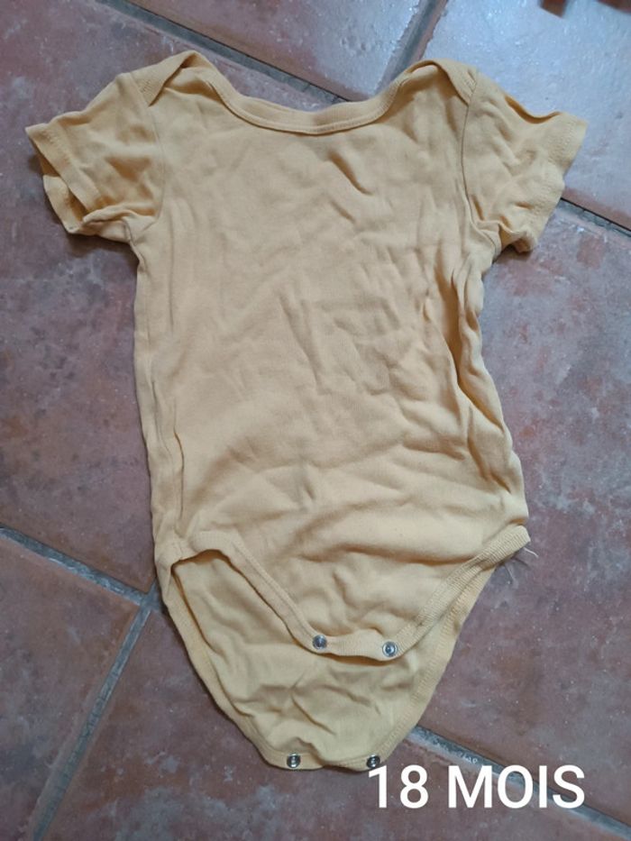 Body 18 MOIS