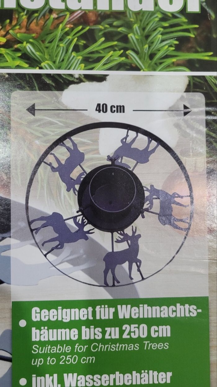 Pied de sapin - photo numéro 3