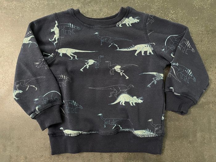 Sweat pull bleu dessin dinosaures taille 2-3 ans marque Tex
