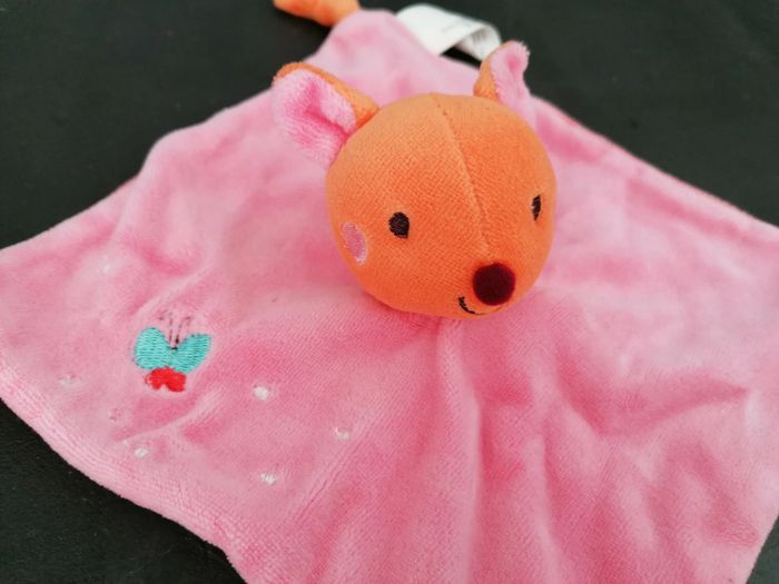 Biche - photo numéro 2