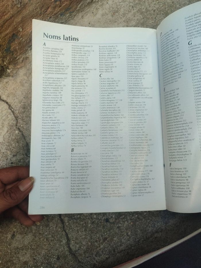 Livre l'univers des oiseaux - photo numéro 13