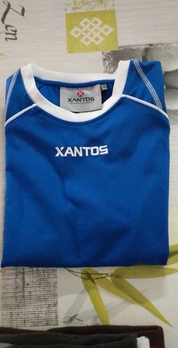 T shirt