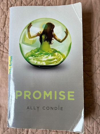 Livre Promise Ally Condie
