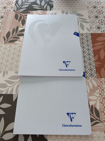 Lot de 2 cahiers 24X32cm 96 pages grand carreaux