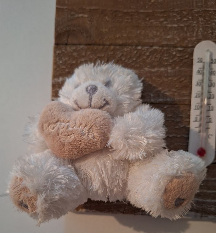 Superbe cadre en bois pour chambre d'enfant avec thermomètre - photo numéro 2