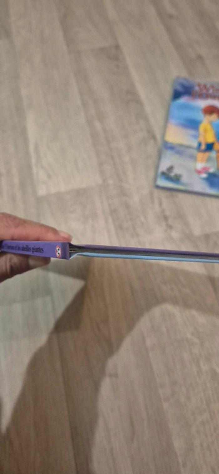 Lot de 3 livres Winnie l'ourson - photo numéro 5