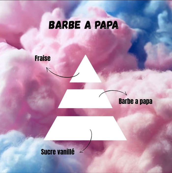 Patte de chat Barbe à papa - photo numéro 2