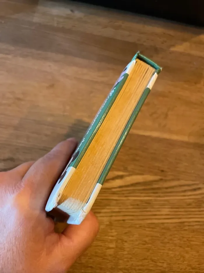 Livre L’imagerie des bébés Disney Bambi - photo numéro 5