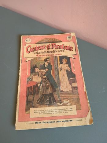 Comtesse et mendiante la destinée roman