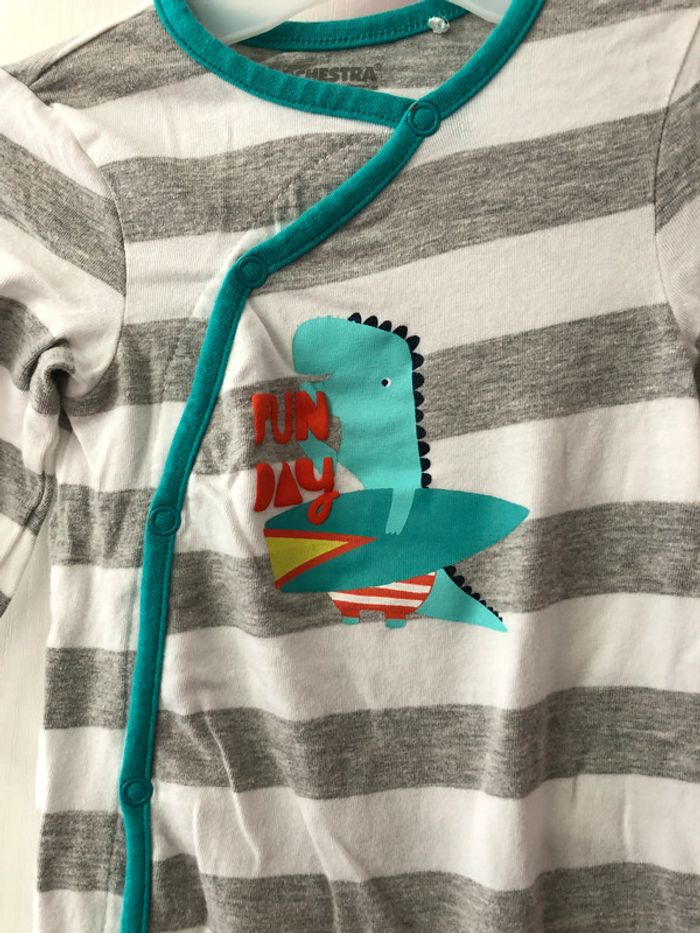 Grenouillère dinosaure, Orchestra - photo numéro 2