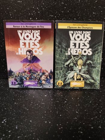 Lot de 2 livres dont vous êtes le héros ldvelh