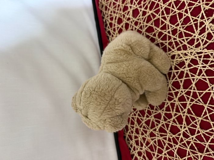 doudou chien - photo numéro 2