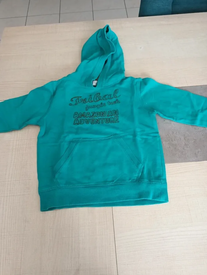 Pull à capuche garçon 3 ans - photo numéro 3
