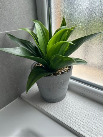 Plante artificielle