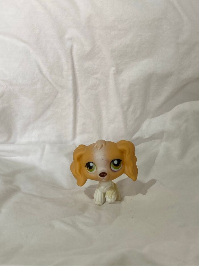 lps cocker