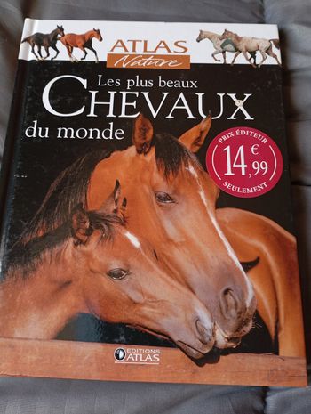Les plus beaux chevaux du monde de