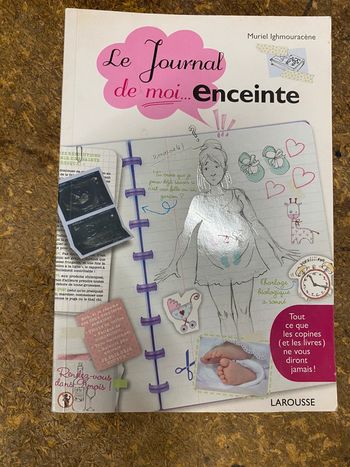 Le journal de moi enceinte