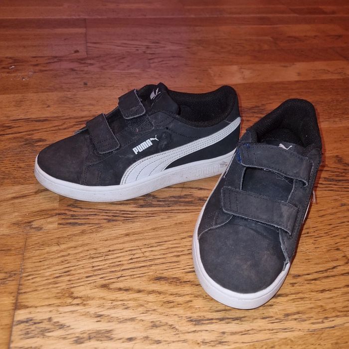 Puma scratch