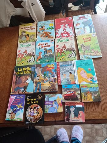 Lot livre Disney