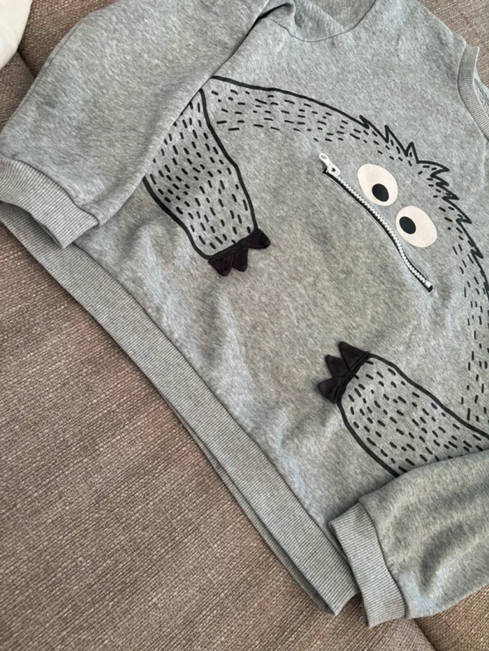 Sweat molleton gris 12 ans - photo numéro 2