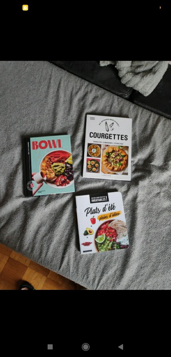 Lot de livres de recettes