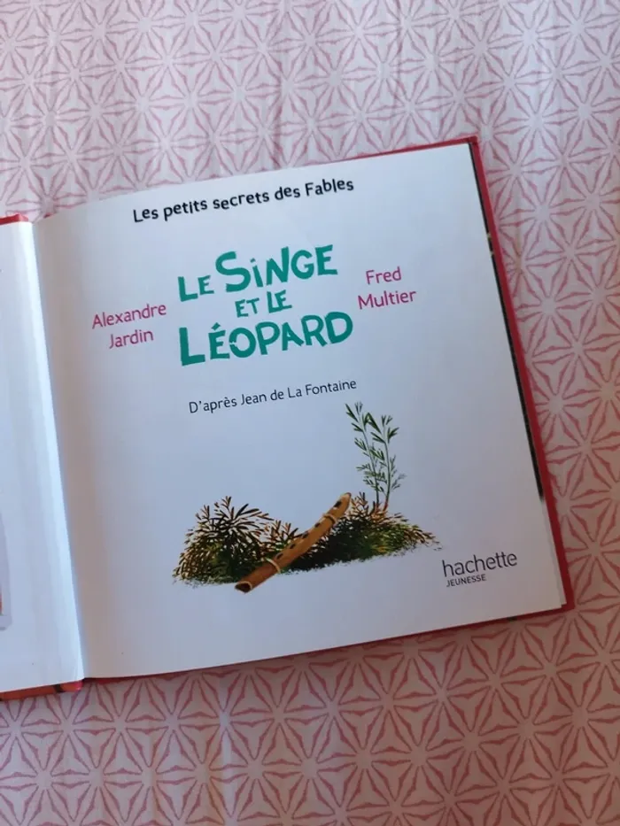 🔴 le singe et le léopard - photo numéro 4