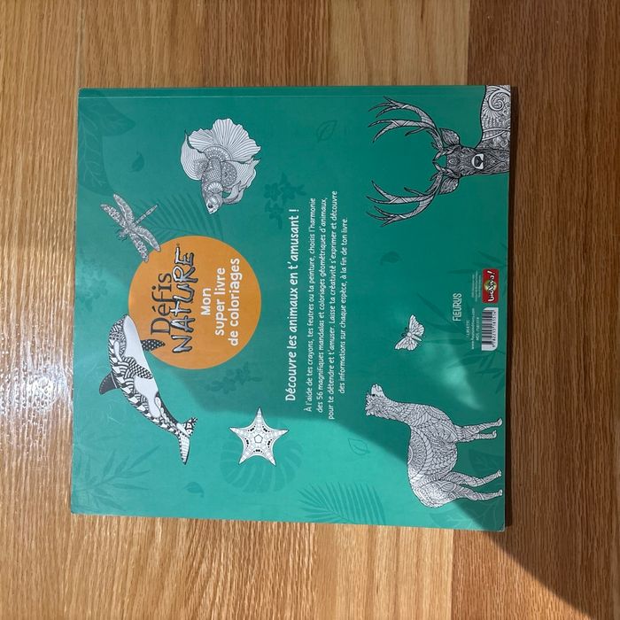 Mon super livre de coloriage - photo numéro 4