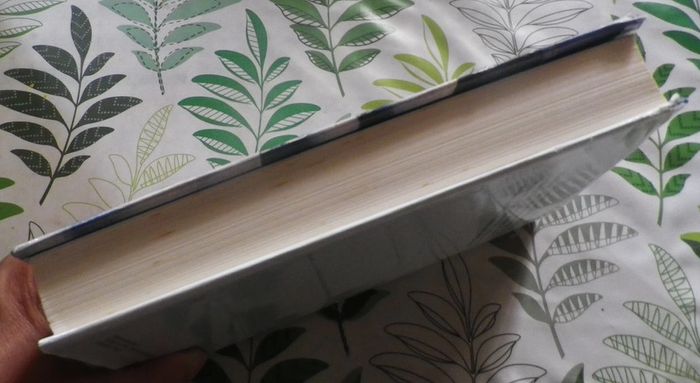 La maison des Aravis de Françoise Bourdin Ed. France Loisirs - photo numéro 4