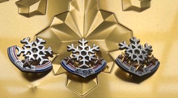 Insigne de de  l’école de ski Française ( Au choix)