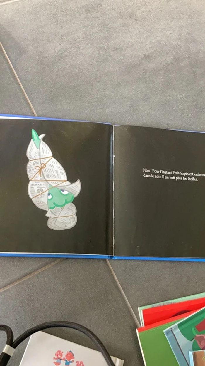 Noël de sapin - photo numéro 4