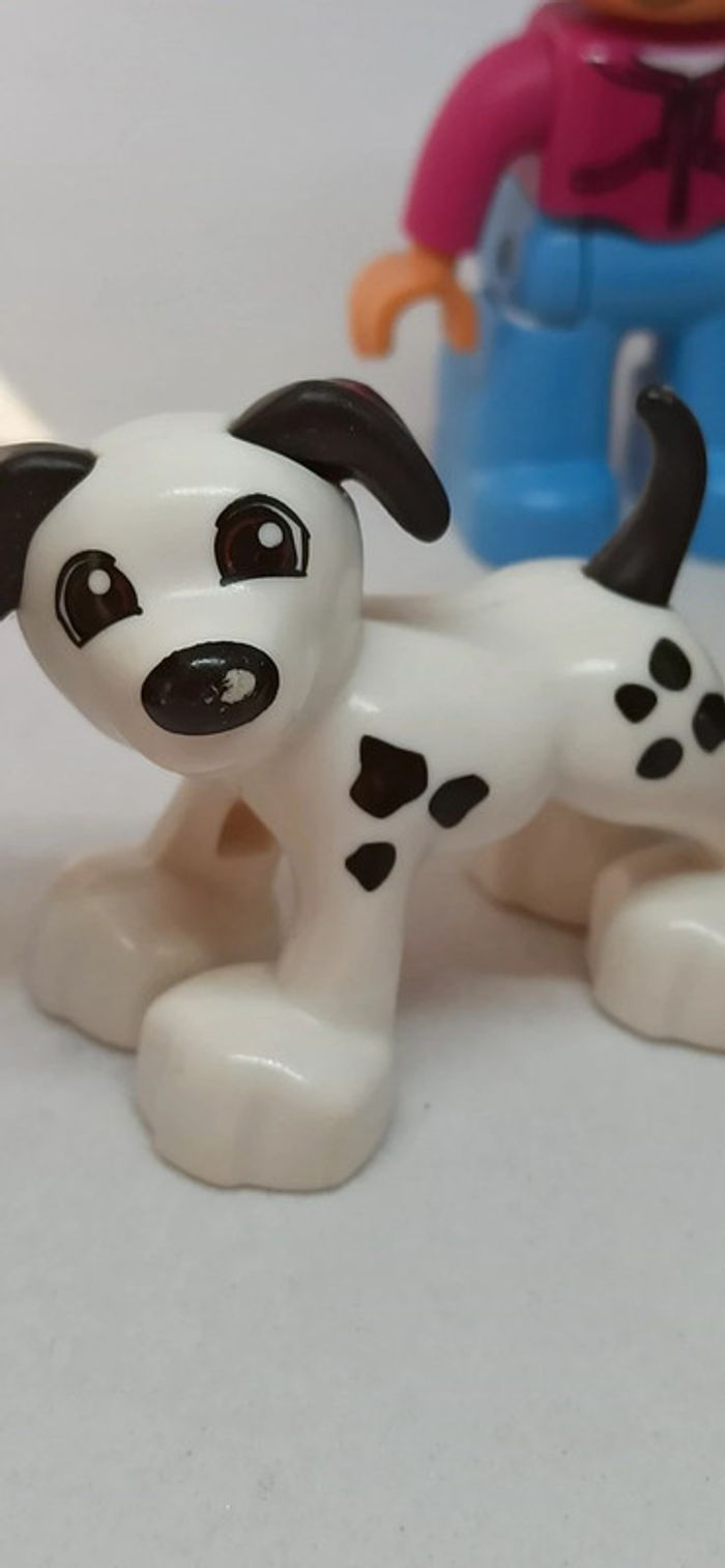 Famille avec enfants chien chat lego duplo - photo numéro 5