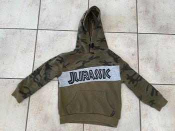 Sweat à capuche Jurassic 5-6 ans
