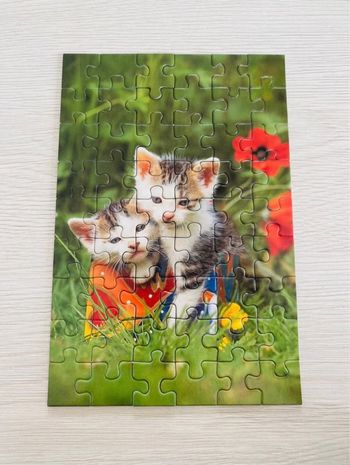 Puzzle chat 54 pièces
