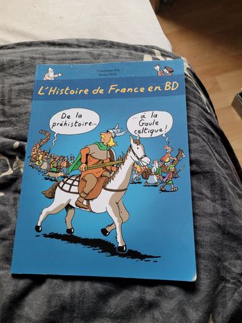 L histoire de la Franxe en BD de la prehistoire à la Gaulke Celtique