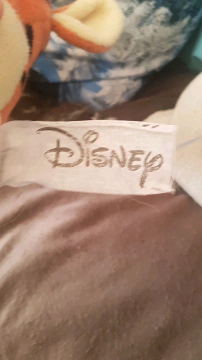 Tete de tigrou - photo numéro 2