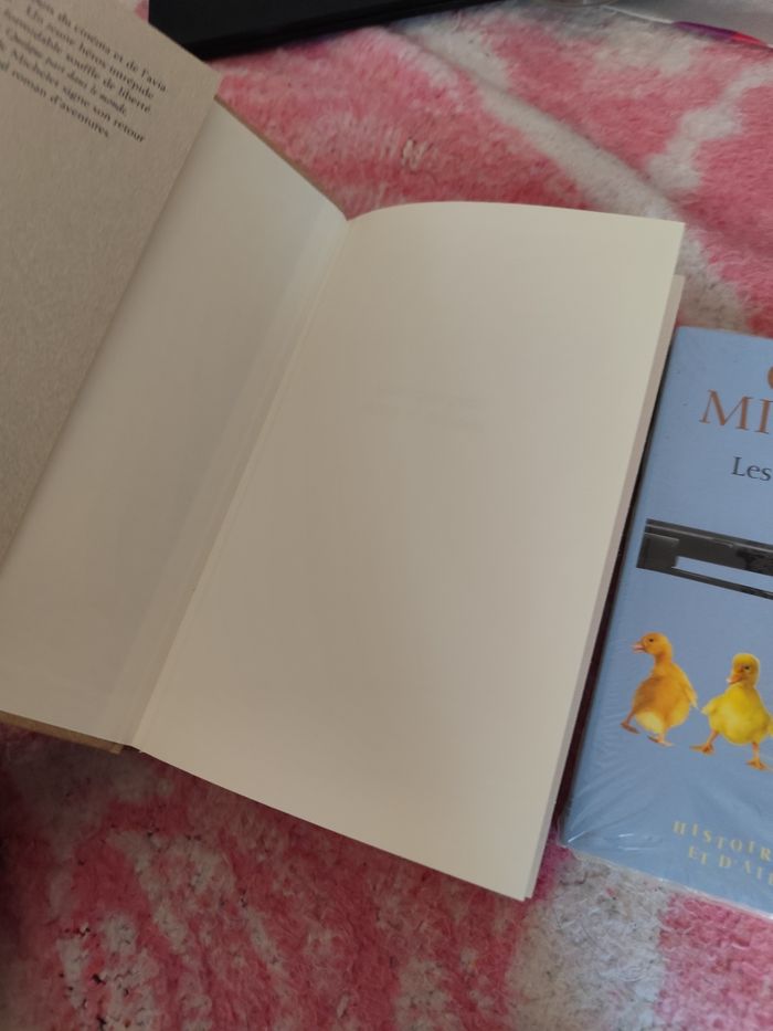 Lot de deux livres Claude Michelet - photo numéro 2
