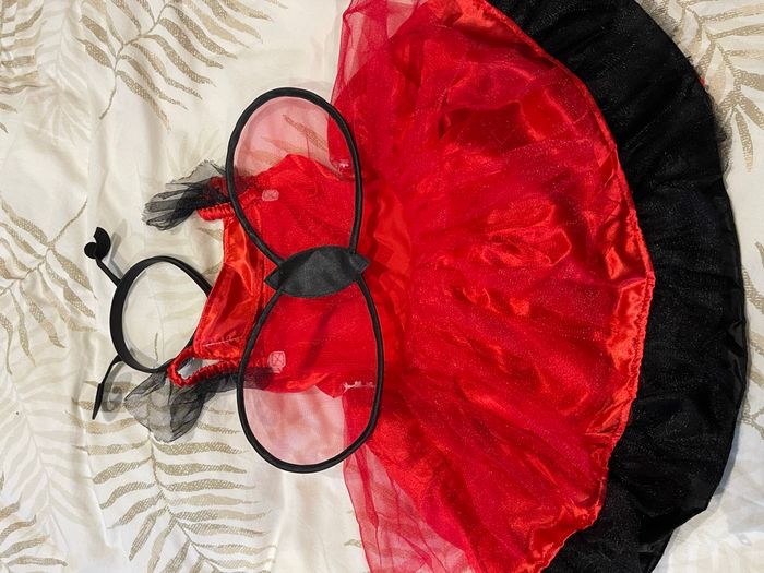 Déguisement coccinelle - photo numéro 4