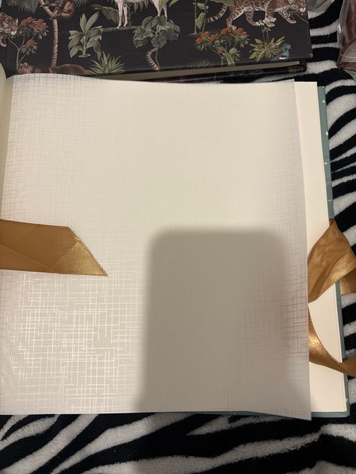 🌿 Lot de 4 albums photo à ruban – neufs 🌿 - photo numéro 3