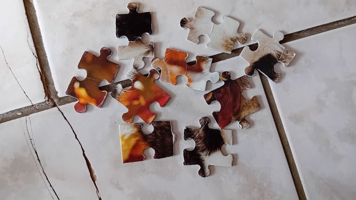 Puzzle 64 pièces chats - photo numéro 4