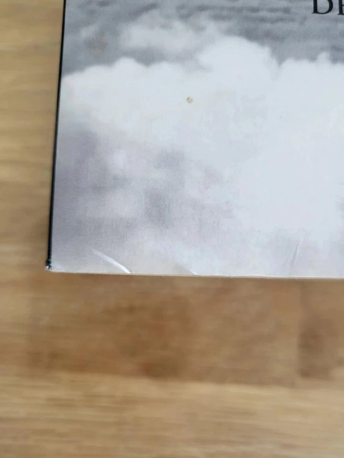 Livre broché de Dan Simmons l'abominable - photo numéro 7
