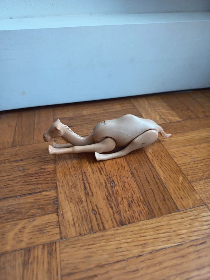 Dromadaire 🐫 - photo numéro 3