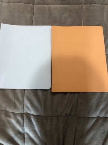 Classeurs souples lot de 2 neufs