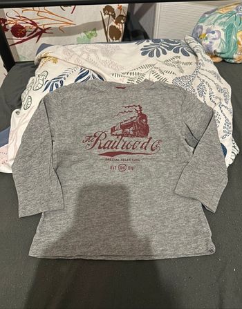 Tee-shirts ML bb garçon taille 24 mois🐨